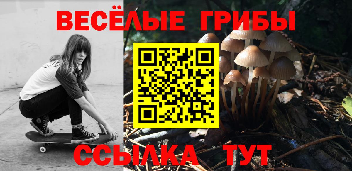 Галлюциногенные грибы ЛСД  Галлюциногенные грибы прущие грибы  Алейск  Вход с VPN 